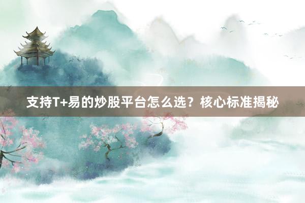 支持T+易的炒股平台怎么选？核心标准揭秘