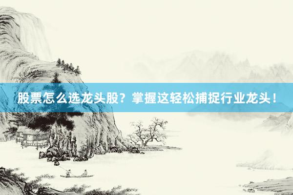 股票怎么选龙头股？掌握这轻松捕捉行业龙头！