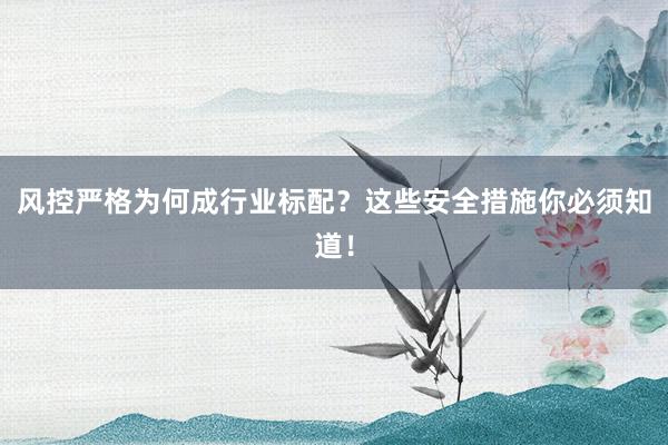 风控严格为何成行业标配？这些安全措施你必须知道！
