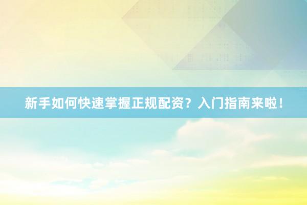 新手如何快速掌握正规配资？入门指南来啦！