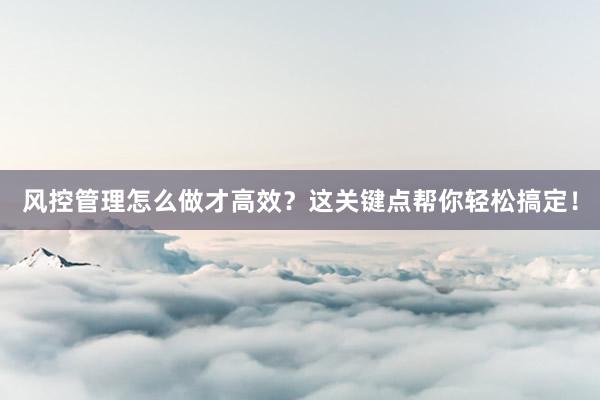 风控管理怎么做才高效？这关键点帮你轻松搞定！