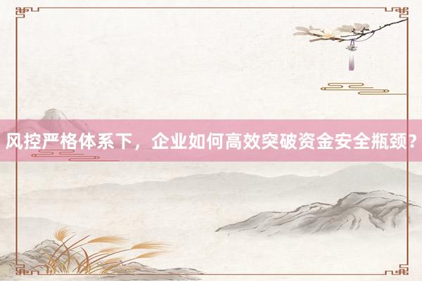 风控严格体系下，企业如何高效突破资金安全瓶颈？