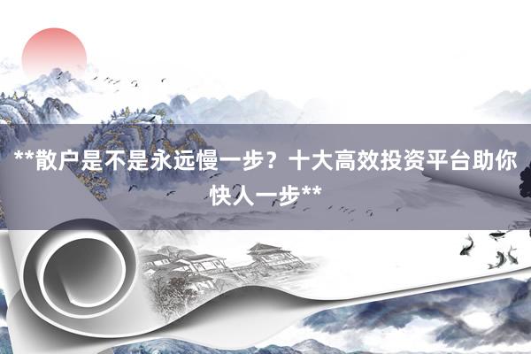 **散户是不是永远慢一步？十大高效投资平台助你快人一步**