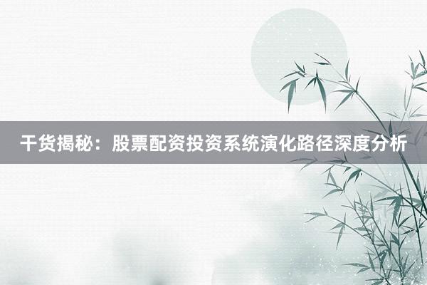 干货揭秘：股票配资投资系统演化路径深度分析