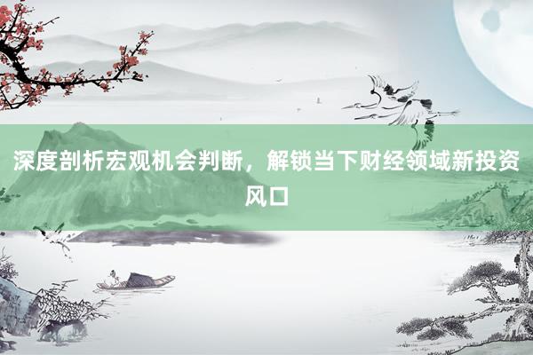 深度剖析宏观机会判断，解锁当下财经领域新投资风口