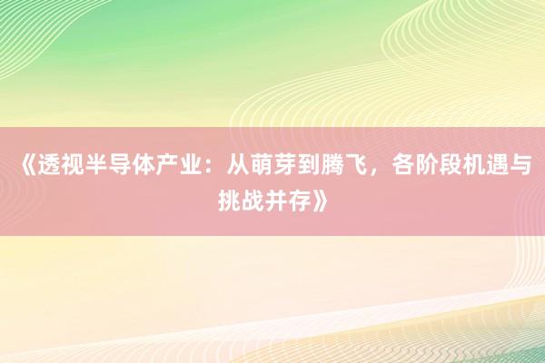 《透视半导体产业：从萌芽到腾飞，各阶段机遇与挑战并存》