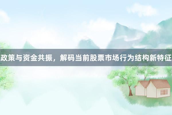 政策与资金共振，解码当前股票市场行为结构新特征