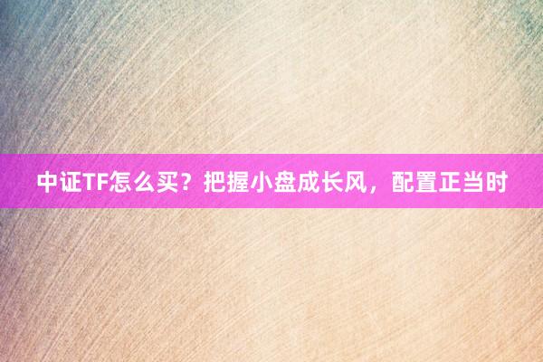 中证TF怎么买？把握小盘成长风，配置正当时