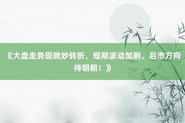 《大盘走势现微妙转折，短期波动加剧，后市方向待明朗！》