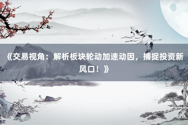 《交易视角：解析板块轮动加速动因，捕捉投资新风口！》