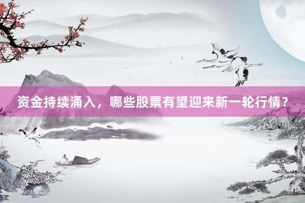 资金持续涌入，哪些股票有望迎来新一轮行情？