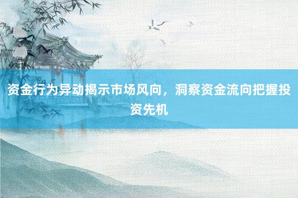 资金行为异动揭示市场风向，洞察资金流向把握投资先机