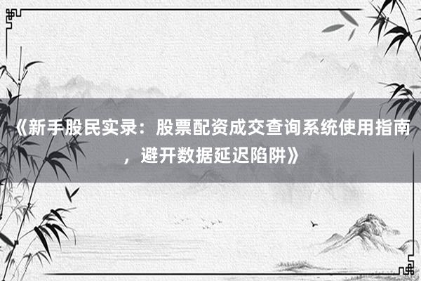 《新手股民实录：股票配资成交查询系统使用指南，避开数据延迟陷阱》