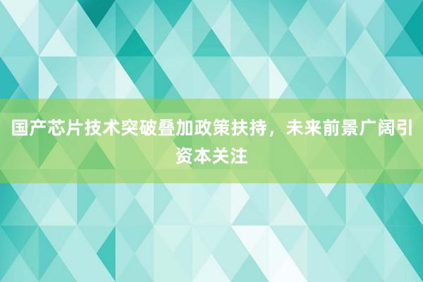 国产芯片技术突破叠加政策扶持，未来前景广阔引资本关注